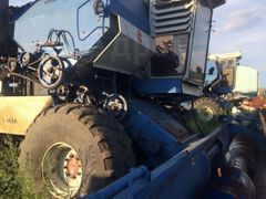 Жетілген әйелдер страпон